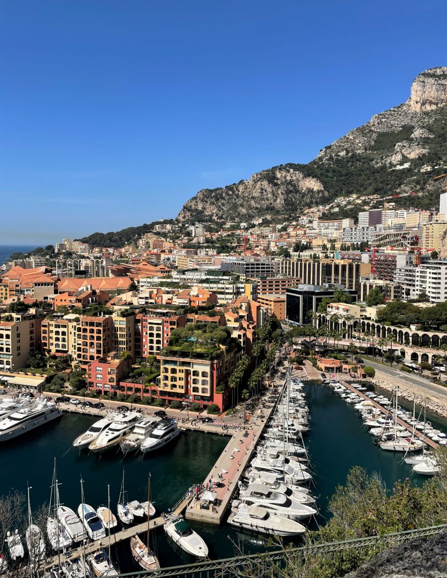 How to see Monaco from a port stop in Cannes France Tangled Up